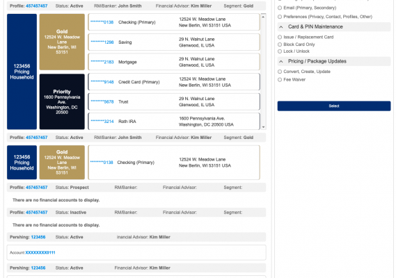 Global Financial Leader (Salesforce project) 1